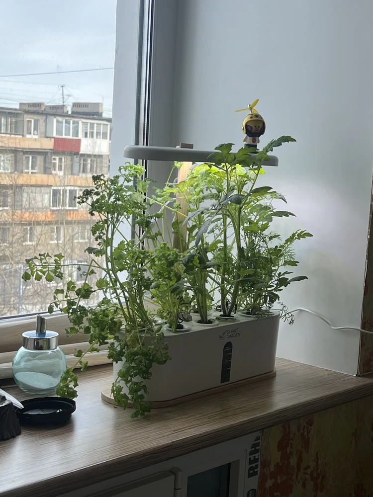 Обязательно для экономии